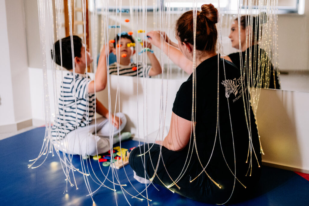 Gabinet Integracji Sensorycznej ZEBRA