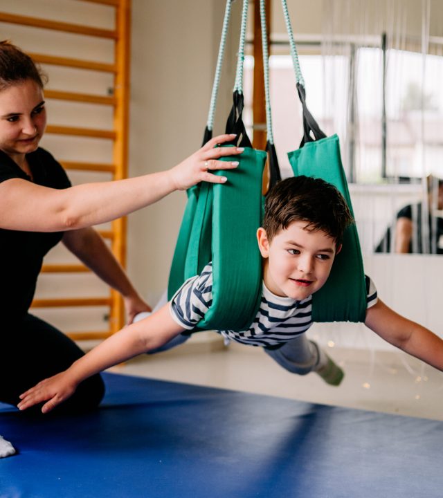 Gabinet Integracji Sensorycznej ZEBRA