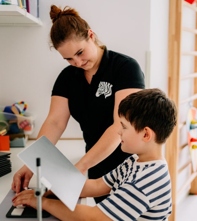 Gabinet Integracji Sensorycznej ZEBRA